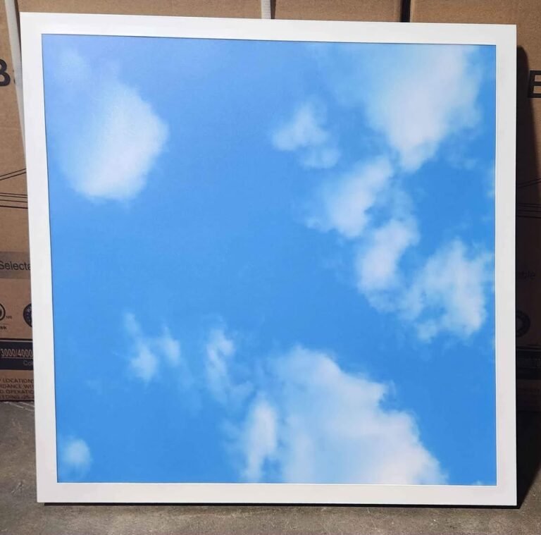 2x2 SKYBLUE PANEL