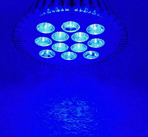 LED Outdoor Flood Light 36W 24V BLUE